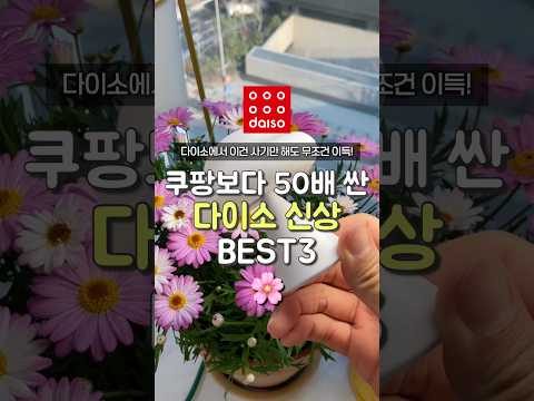 쿠팡보다 50배 싼 다이소 신상 3가지