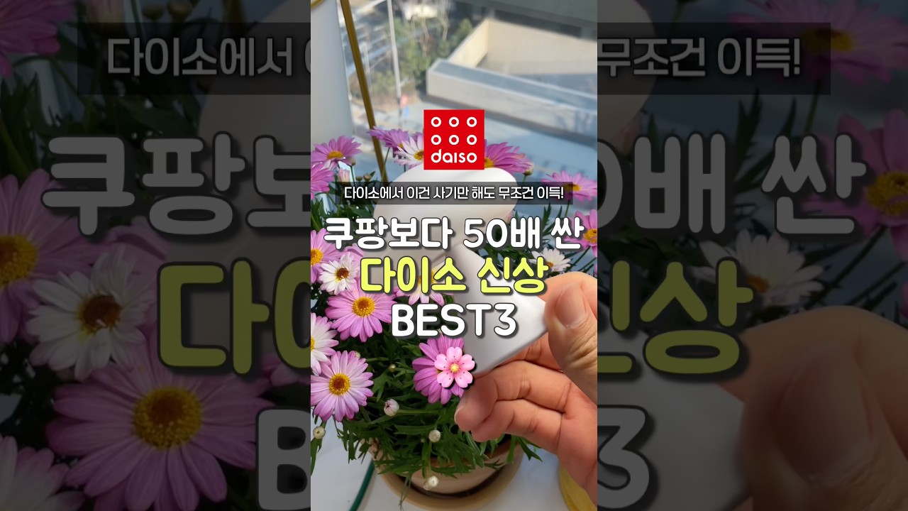 쿠팡보다 50배 싼 다이소 신상 3가지