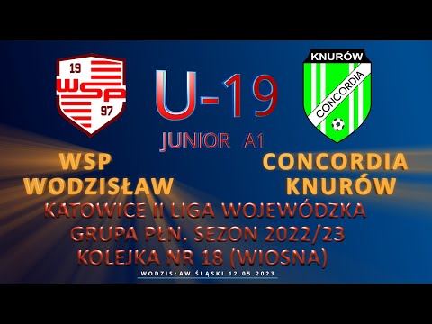 WSP WODZISŁAW ŚLĄSKI - MKS CONCORDIA KNURÓW