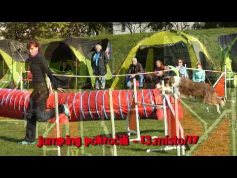 11.10.2015 Dazzling Flash of Silent Storm - 3. Podzimní hopsání Mladá Boleslav