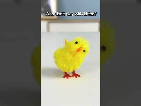 Who's The Most Different Of The Chicks?😁#oscarfunnyworld #funnycat #shorts