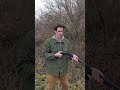 $100 vs $1,500 Shotgun  #hunting #shooting #shotgun #shorts