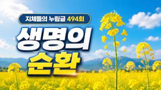 누림글 494회 - 생명의 순환