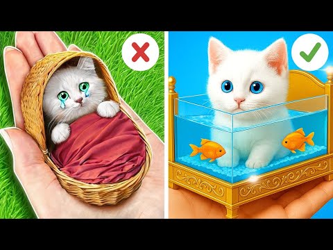 Poor cat found in the trash! ✨ DIY tips to make her happy, rich, and glamorous