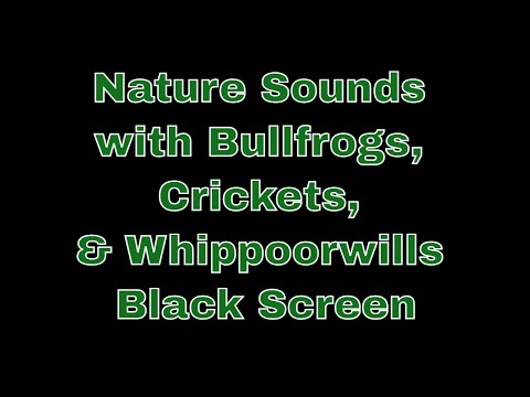 Nature Sounds with Bullfrogs, Crickets, & Whippoorwills | Relax | Sleep | Meditate | Focus | Ambient
