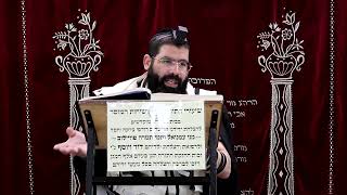 זבחים דף ס"ה ע"א ¤ הרב נתנאל אברז'ל ¤ בית הכנסת "בית מרדכי" (מוסדות תורת דוד) - התמונה מוצגת ישירות מתוך אתר האינטרנט יוטיוב. זכויות היוצרים בתמונה שייכות ליוצרה. קישור קרדיט למקור התוכן נמצא בתוך דף הסרטון