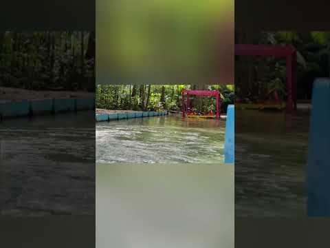 Descobertas e emoção em Igarapé-Açu, Pará #shorts