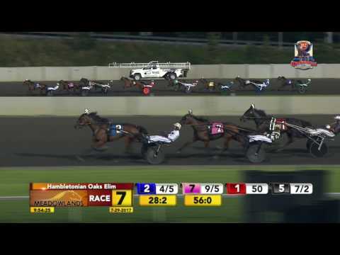 July 29, 2017 - Hambletonian Oaks Elim 2