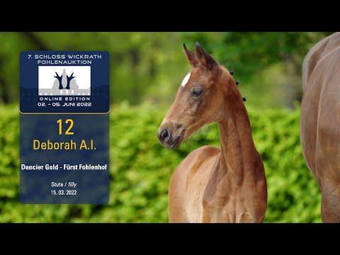 7. Schloss Wickrath Fohlenauktion Lot 12 Deborah A.I. Stute v. Dancier Gold - Fürst Fohlenhof