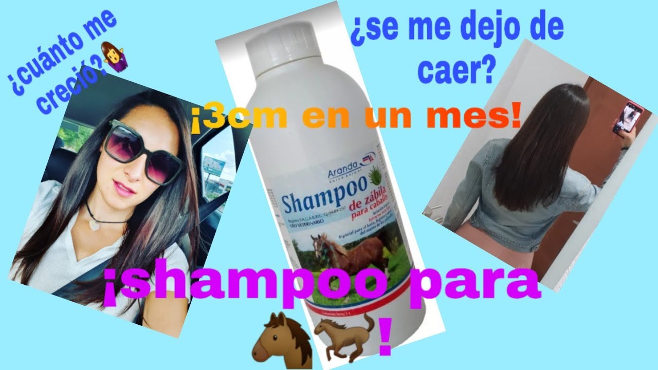 shampoo para caballo Aranda de sábila 🐎 ¡3cm en un mes😱! ¿me brilla🤔 ¿se me dejo de caer #shampoo