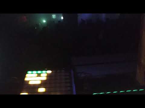 Neonicle @gammafestival