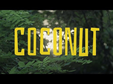 Astrid in Avantgarden - COCONUT (Official Music Video)
