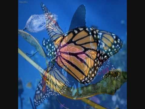 Ten And Tracer - A Distant Monarch (Milieu Mix4)
