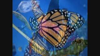 Ten And Tracer - A Distant Monarch (Milieu Mix4)