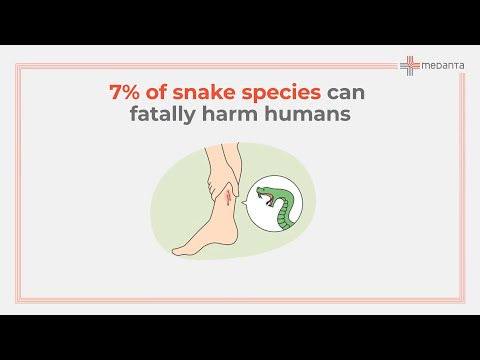 First Aid for Snake Bites | Medanta