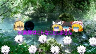 メア&雷月 のライブ配信