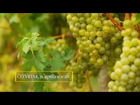 Autohtone vrste Srbije ep. 8 11.04.2019. NAJAVA