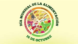 Día Mundial de la Alimentación Día Mundial de la Alimentación