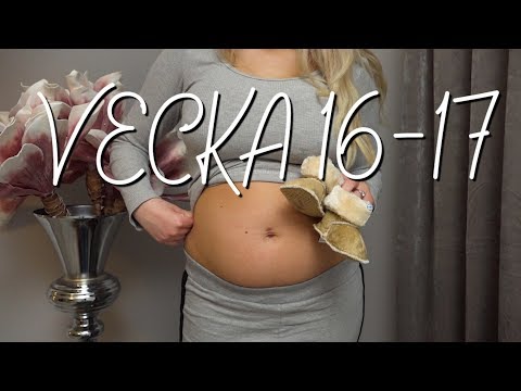 GRAVID | VECKA 16-17
