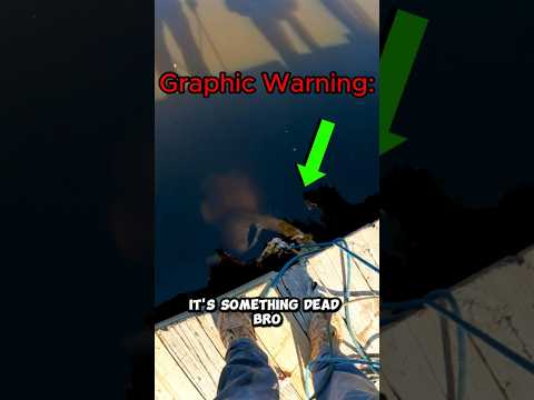 I accidentally caught something dead with a magnet (magnet fishing)