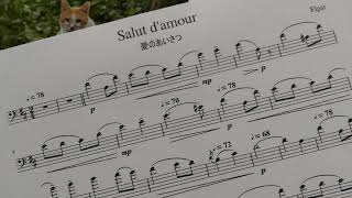 Download lagu エルガー「愛のあいさつ」チェロ演奏用 / Elgar 'Salut d'amour' for cello players mp3 Download lagu エルガー「愛のあいさつ」チェロ演奏用 / Elgar 'Salut d'amour' for cello players mp3