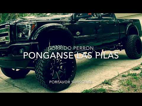 Corrido "Perron" - Ponganse Las Pilas "2020"