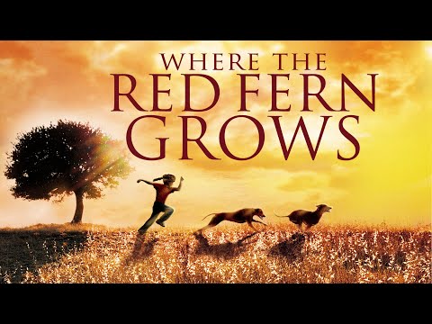 Witness21 Editor  2020 08 18