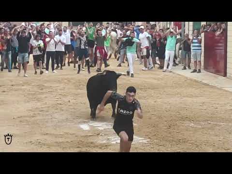 MUSEROS PENYA TAURINA 2023