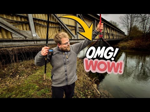 DIESER FANG KRASSER als ein LOTTOGEWINN für GREWALD (kein Witz)??