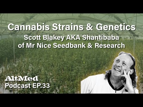 Cannabis Strains & Genetics: Scott Blakey AKA Shantibaba of Mr Nice Seedbank (Altmed Podcast Ep.33)