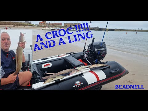 BOOM... I CAUGHT MY 1ST LING | COD | POLLOCK. SIB FISHING UK