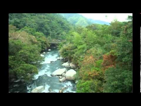 POR QUE NO TE VAS - LOS CAMINANTES Y LOS YUMBOS