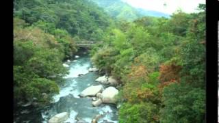 POR QUE NO TE VAS - LOS CAMINANTES Y LOS YUMBOS