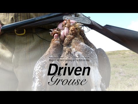 DRIVEN GROUSE PT. 1