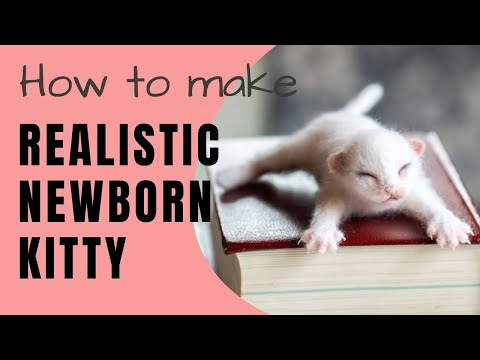 Learn how to needle felt this SWEET NEWBORN Kitty