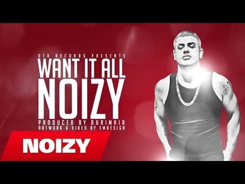 Noizy - Want It All