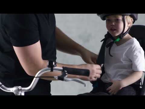 Thule Yepp Nexxt Maxi