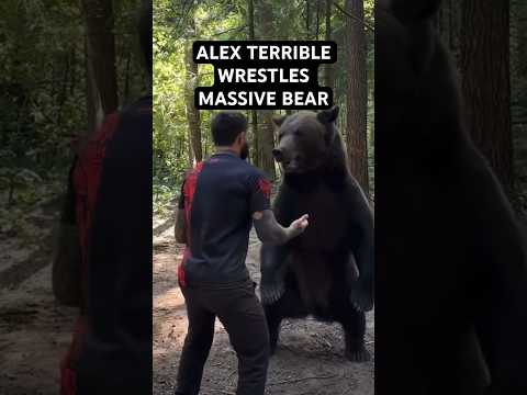 Alex Terrible Wrestles Giant Bear #heavy #heavymetal #metalmusic #slaughtertoprevail #metal