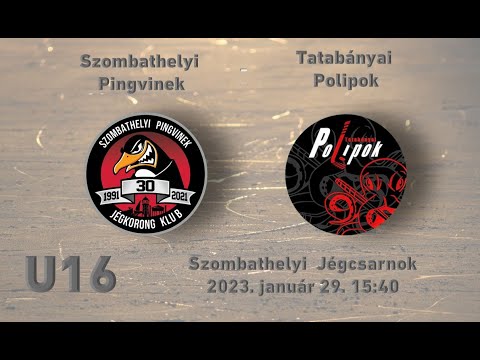 U16 96R  Szombathelyi Pingvinek - Tatabányai Polipok (élő közvetítés)
