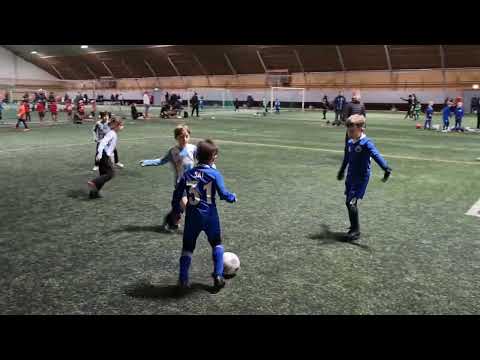FCWild sininen vs Hoogee 3 3 2024