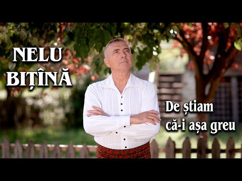 Nelu Bitina si Orchestra Lautarii de la Chisinau - De stiam ca-i asa greu  (official video) NOU