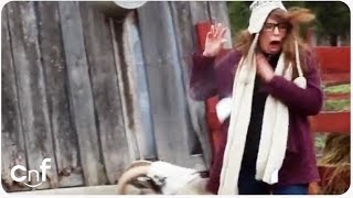 HILARIOUS Girl Terrified of Goat Sneeze