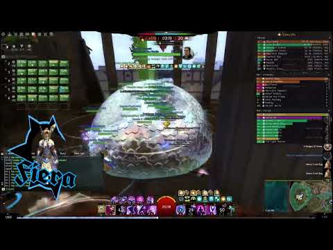 GW2 WVW | It did not make them die slower