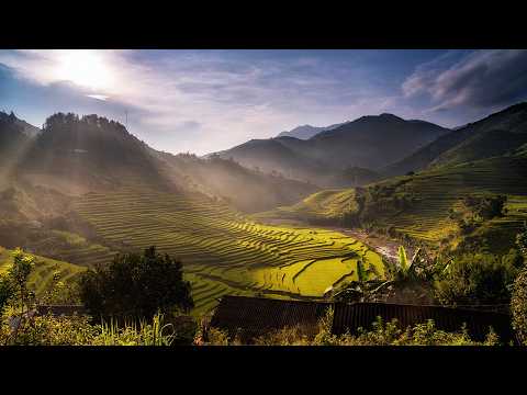 Discover Vietnam from North to South - 4K Ambient Aerial Film