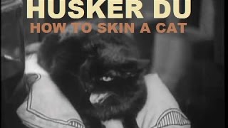 &quot;How To Skin A Cat&quot; by HUSKER DU