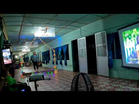 ANGELA LATA JUA, INGAT-INGAT LALAT