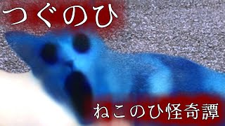 ワァーオ！！！！【つぐのひ：ねこのひ怪奇譚】