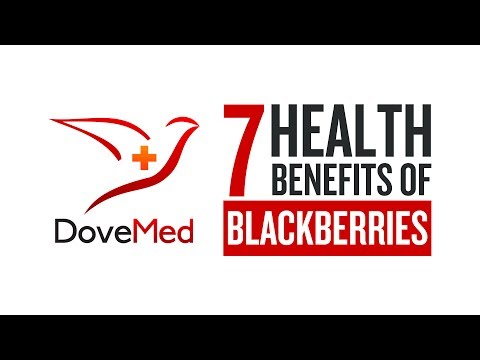 7 Health Benefits Of Blackberries