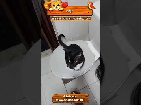 Vídeo de Nego