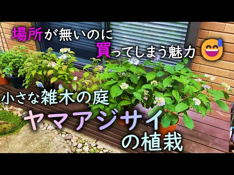 ヤムジー山の眺め